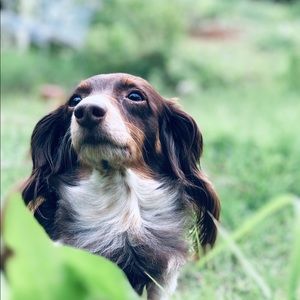 Meet your Posher, Tracy